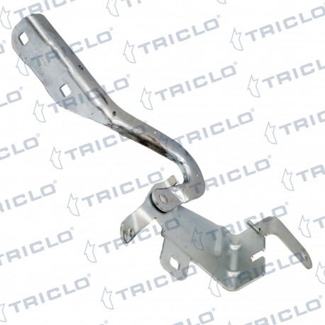 "BISAGRA CAPO DER. CLIO IV '12"