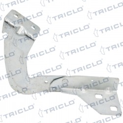 "BISAGRA CAPO DER. KANGOO '97"