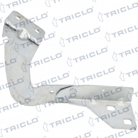  BISAGRA CAPO DER  KANGOO  97