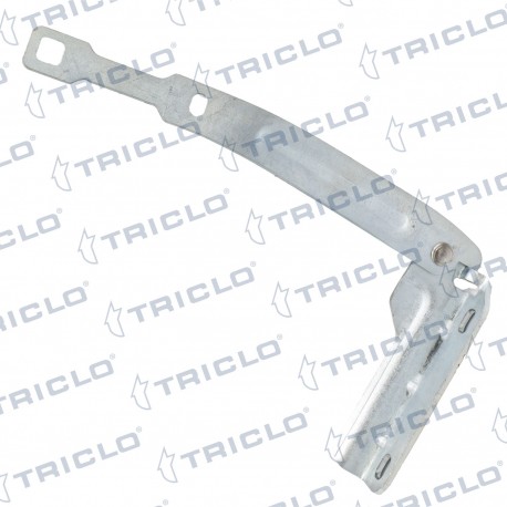  BISAGRA CAPO DER  DUSTER I
