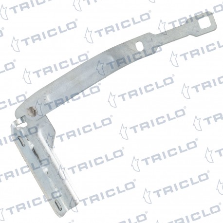  BISAGRA CAPO IZQ  DUSTER I
