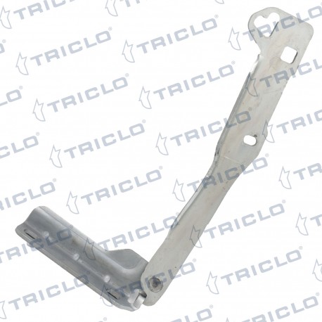  BISAGRA CAPO IZQ  SANDERO I