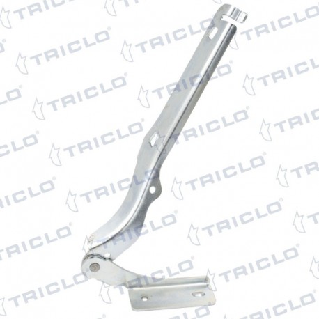   BISAGRA CAPO DER BERLINGO 08