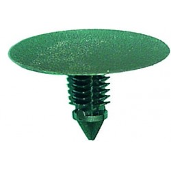 INSONORO CAPO LAGUNA II