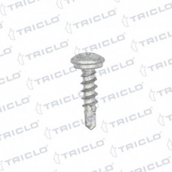 TORN MATRICULA TORX 4 8x19