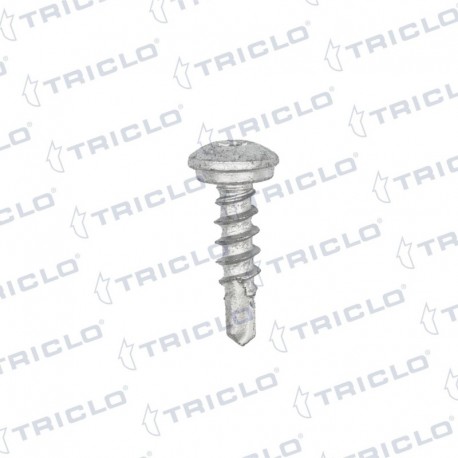 TORN MATRICULA TORX 4 8x19