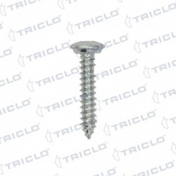 TORNILLO MATRICULA 4 8x25