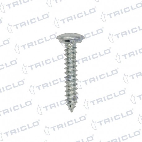 TORNILLO MATRICULA 4 8x25