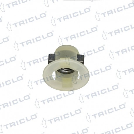 FIJA.PARACH.6mm FORD,RENAULT