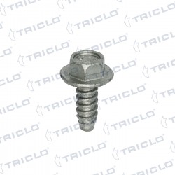 TORNILLO GUARDABARRO RENAULT