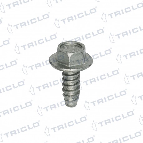 TORNILLO GUARDABARRO RENAULT