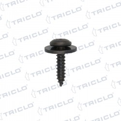 TORNILLO PASORUEDA RENAULT