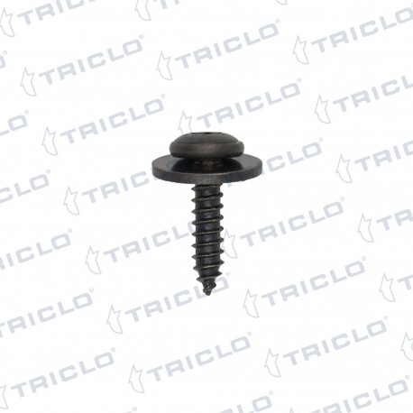 TORNILLO PASORUEDA RENAULT