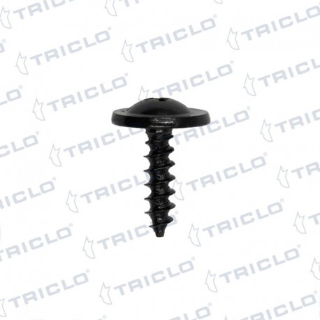   TORNILLO FIJAC  PUERTAS BMW