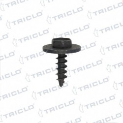   TORNILLO FIJ MOTOR BMW S 1 2