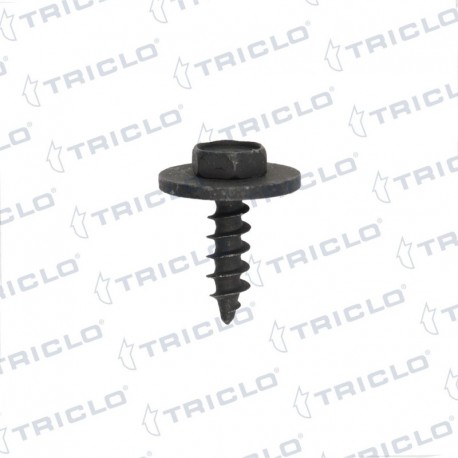   TORNILLO FIJ MOTOR BMW S 1 2