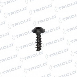   TORNI PANEL PUERTA BMW S 5