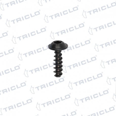   TORNI PANEL PUERTA BMW S 5