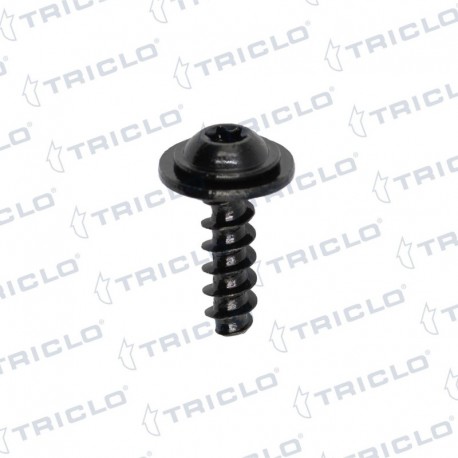   TORNILLO FIJACION BMW X1