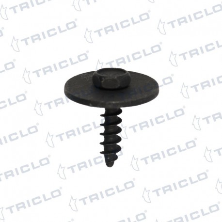   TORNILLO FIJAC MOTOR BMW S 1