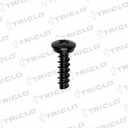   TORNILLO FIJ MATR  BMW S 1