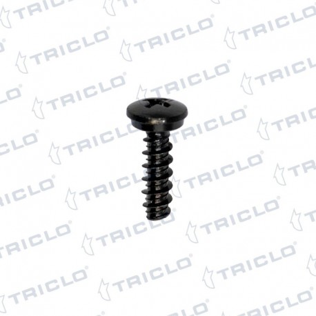   TORNILLO FIJ MATR  BMW S 1