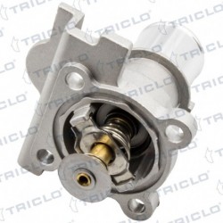   TAPA TERM  FIAT DUCATO  15