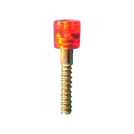 TORNILLO FIJ.INTERMIT.FOCUS