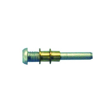 PERNO BISAGRA CLIO,R-19,EXPRES