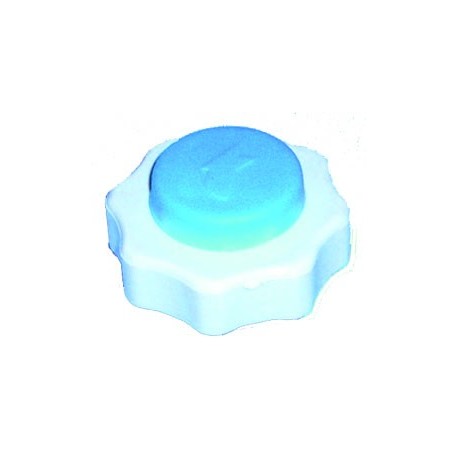 TAPON C.C. RENAULT DEPOSITO