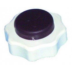 TAPON C.C. RENAULT DEPOSITO