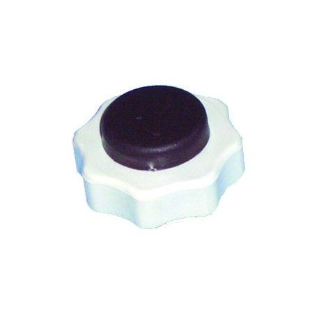 TAPON C.C. RENAULT DEPOSITO