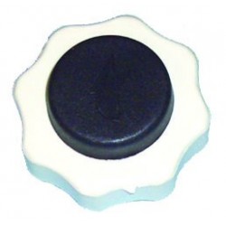 TAPON C.C.PEUGEOT,RENAULT DEPO