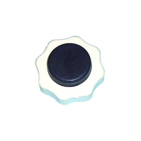 TAPON C.C.PEUGEOT,RENAULT DEPO