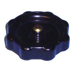 TAPON ACEITE CITROEN,RENAULT
