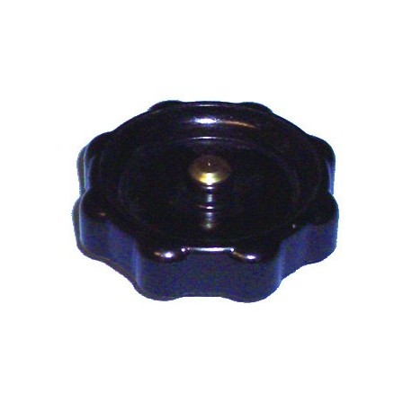 TAPON ACEITE CITROEN,RENAULT