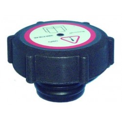 TAPON C.C.FORD MONDEO,TRANSIT