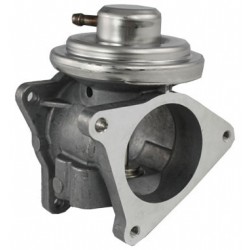 +VALVULA EGR VAG 1.9TDI