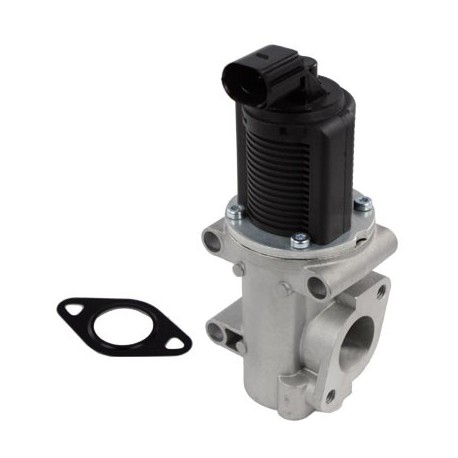 +VALVULA EGR FIAT 1.9/2.4JTD