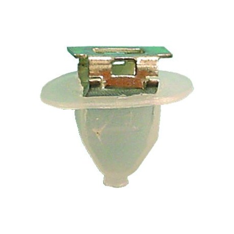 * REVESTIMIENTOS MUELLE RENAUL