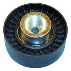 +RODILLO CORREA FORD mot. 2.0D