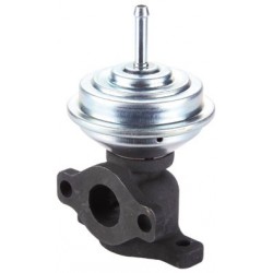 +VALVULA EGR VAG  1.9TDI