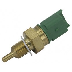  SENSOR TEMPERATURA PSA 2 PINS
