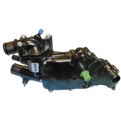  CUERPO TERM PSA C5  01 2 2HDI